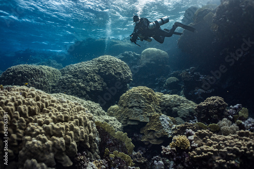 Diver on coral reef in Sataya in Red Sea © Marta Smaga