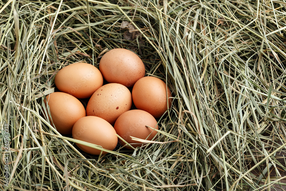 eggs in the straw eggs in the straw