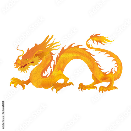 Chinese dragon vector