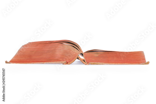 Large open vintage book sid...