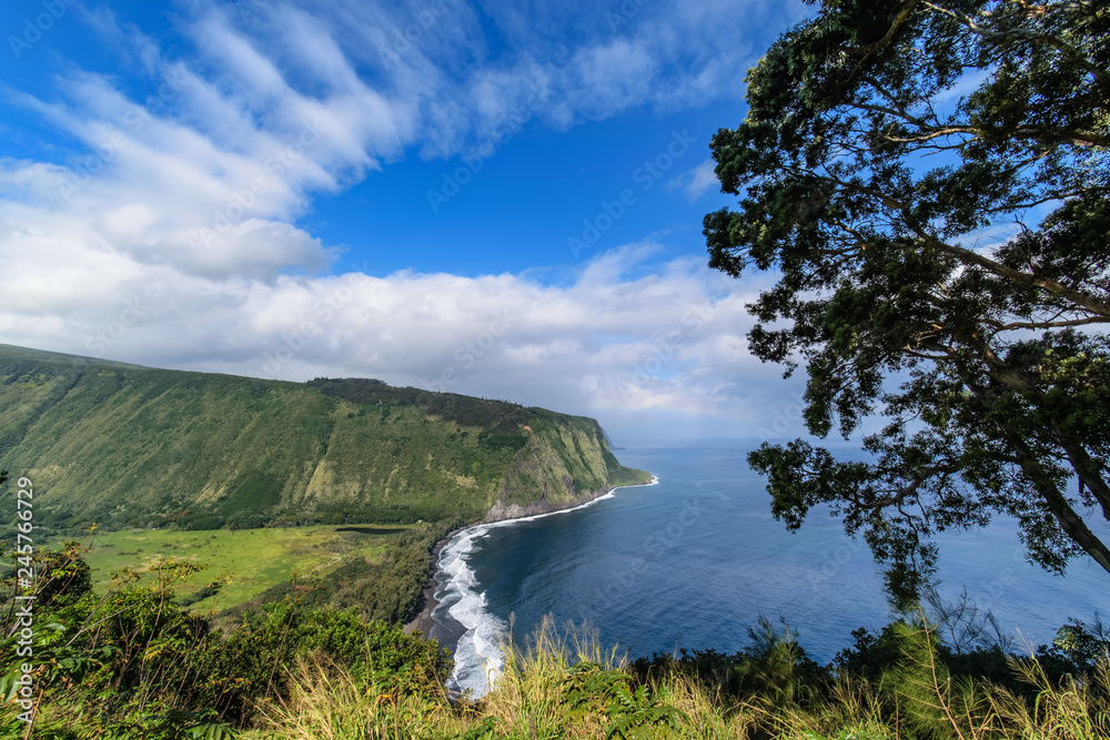 Mouth of Waipio valley, Hawaii Big Island Mouth of Waipio valley, Hawaii Big Island