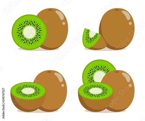 kiwi, fruit collection on white background, vector