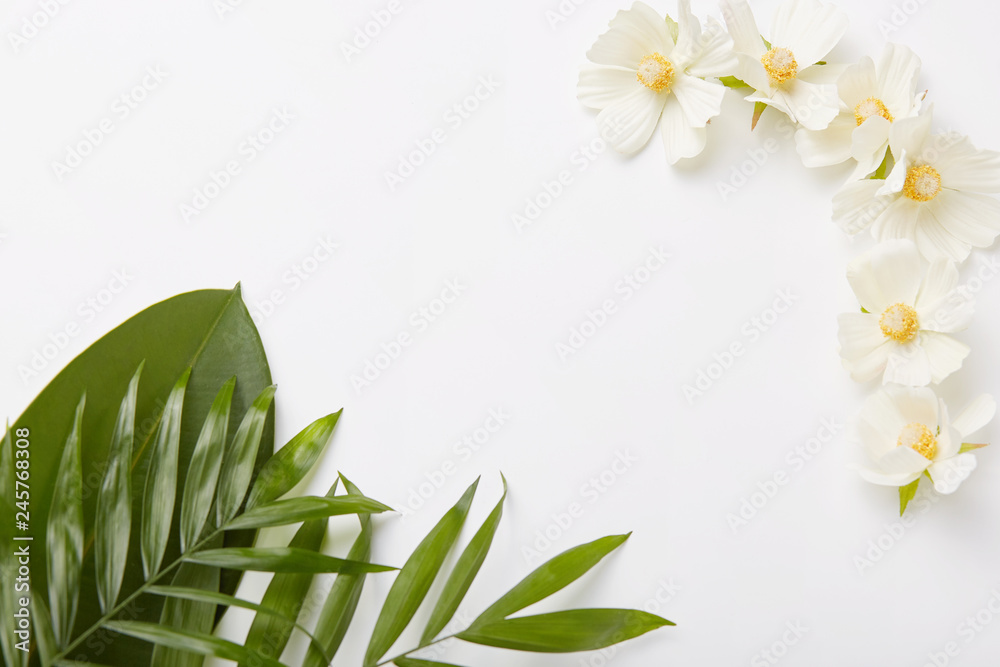 Beautiful composition of greenery and little white flowers on white background with empty space in middle for your information
