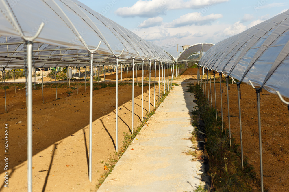Large industrial greenhouses on a spring day