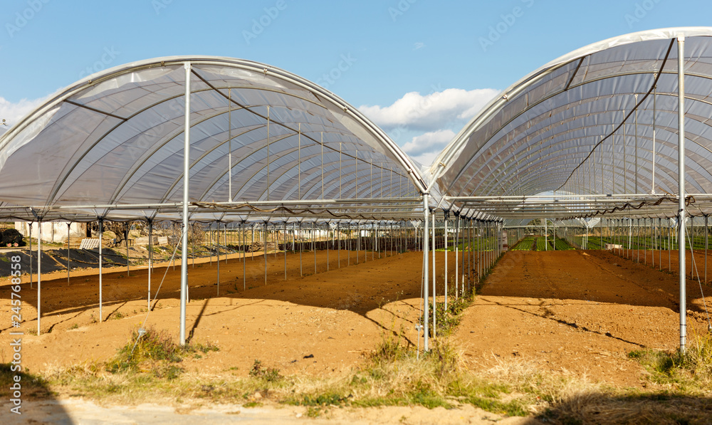 Large industrial greenhouses on a spring day Large industrial greenhouses on a spring day