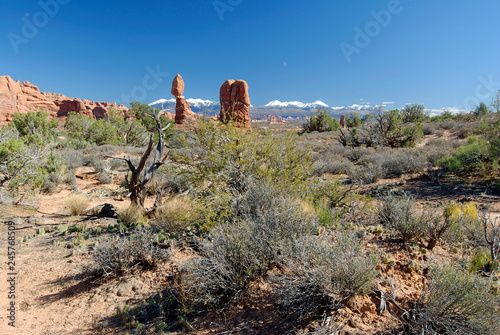 Balanced Rock in Arches National Park  with snowcapped LaSal Mountains in background photo