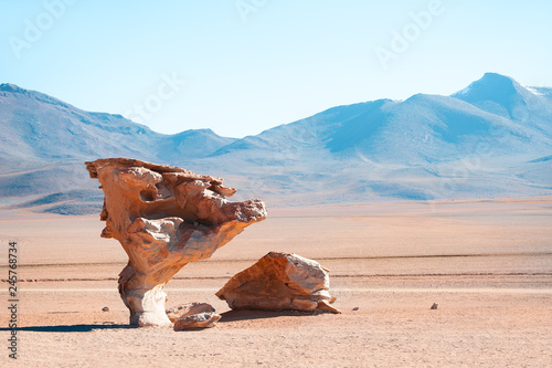 Stone tree Arbol de Piedra on the plateau Altiplano, Bolivia