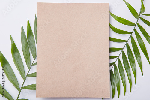 Isolated shot of blank sheet of paper against leaves of fern as background. Copy space for your promotional content. Floral composition