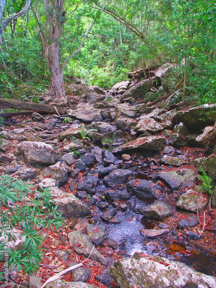 Surprise Creek Queensland Australia Surprise Creek Queensland Australia