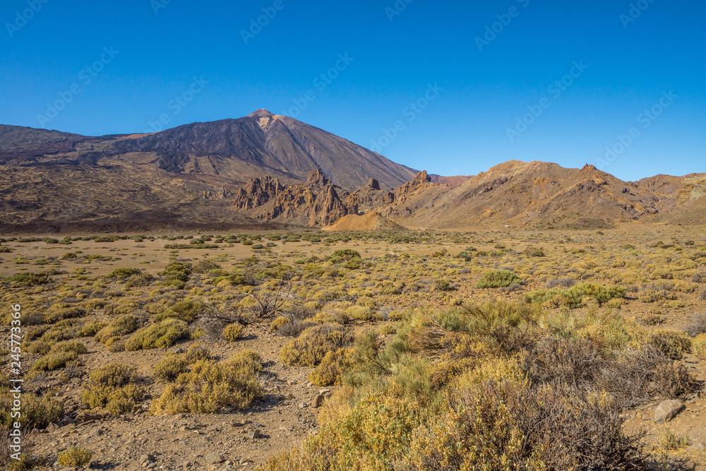 Sommerliche Landschaft im Krater des Teide Vulkans