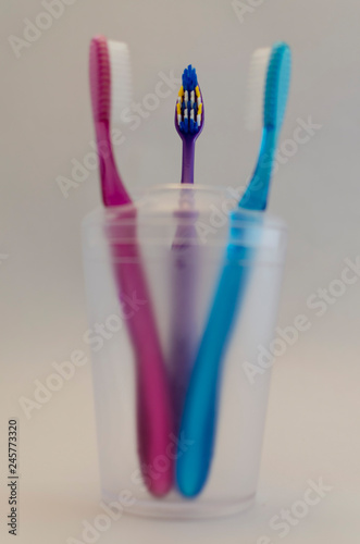 toothbrushes in bowl  family  couple
