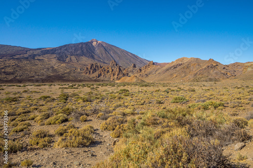 Sommerliche Landschaft im Krater des Teide Vulkans