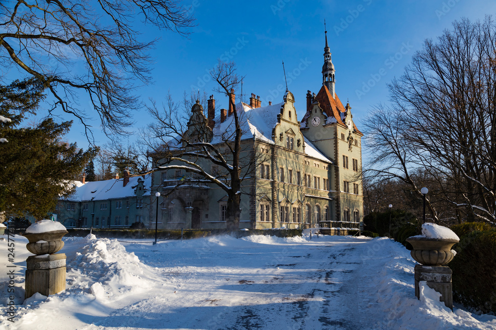 Schoenborn Palace ( Beregvar Castle ) in snow. Ukraine
