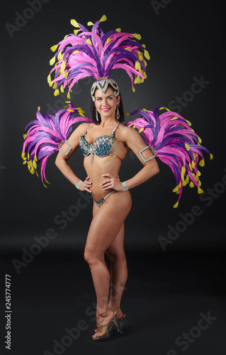  Beautiful Girl in carnival costume.