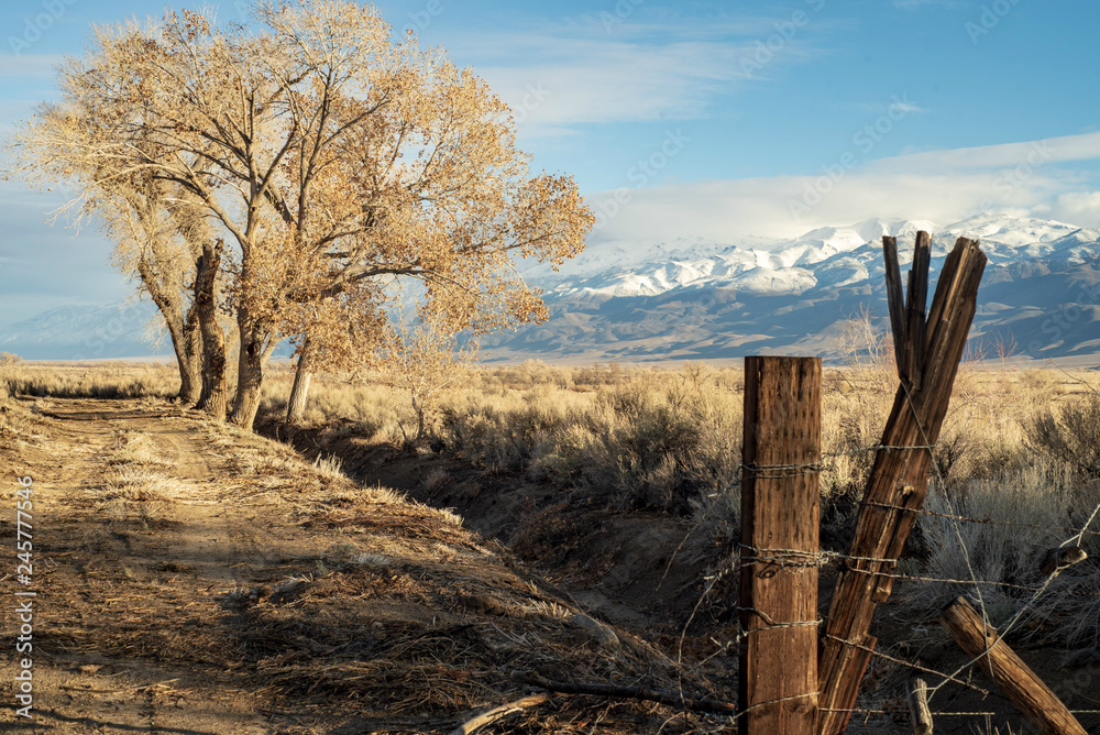 wood post at entrance to rural dirt road winter tree snowy mountain range in distance California scenery