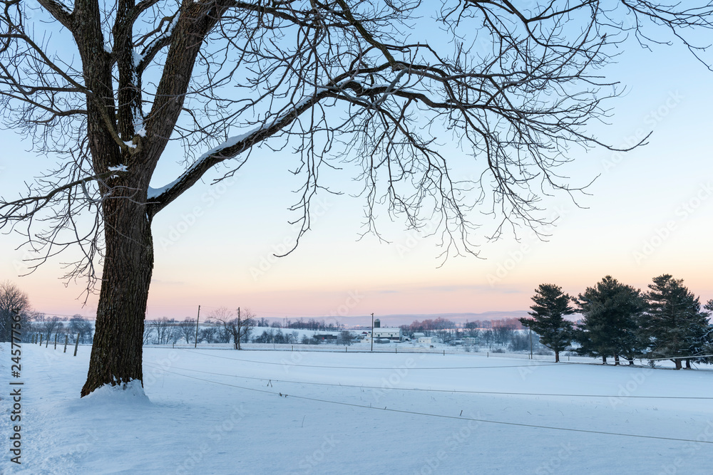 Farm in Winter Landscape with Pastel Sky at Dawn and Large Tree Farm in Winter Landscape with Pastel Sky at Dawn and Large Tree