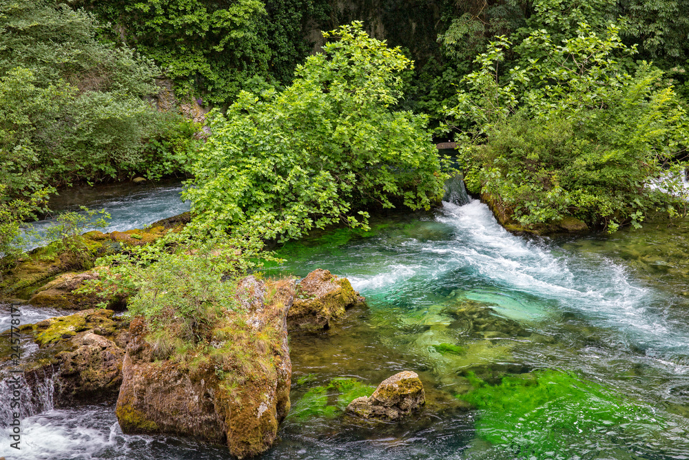 Along the river Sorgue. Rocks and trees in River Sorgue, Fontaine de Vaucluse, Provence, Luberon, Vaucluse, France