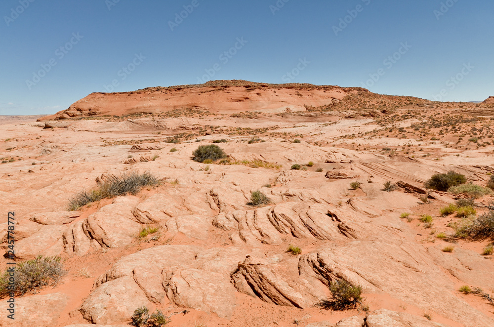 ragged desert in Grand Staircase - Escalante National Monument along Coyote Gulch trail