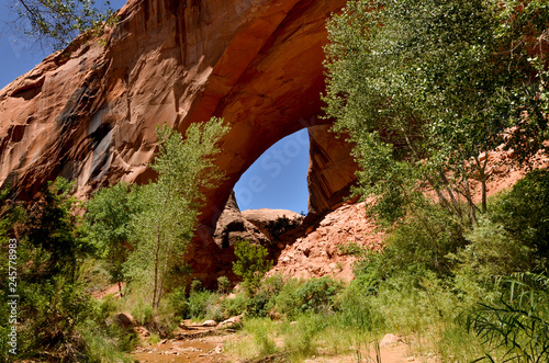 Jacob Hamblin arch view from the bottom of Coyote Gulch (Grand Staircase - Escalante National Monument, Kane county, Utah) photo