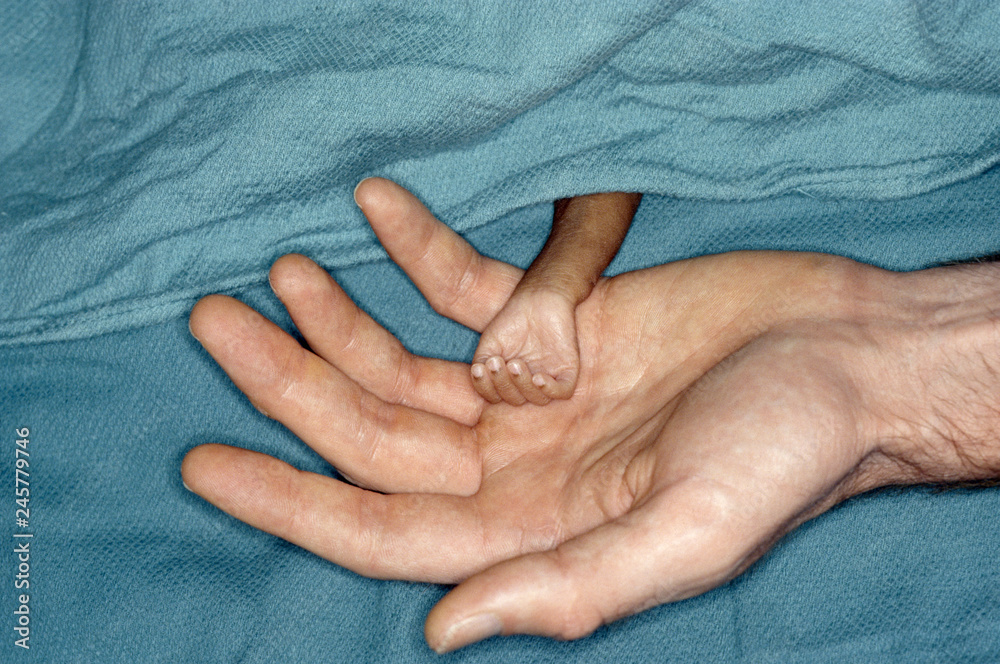 Fototapeta premium Premature baby hand in doctor's hand