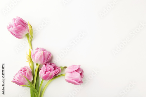 Fototapeta Naklejka Na Ścianę i Meble -  Pink tulips on white background with copy space. Top view.