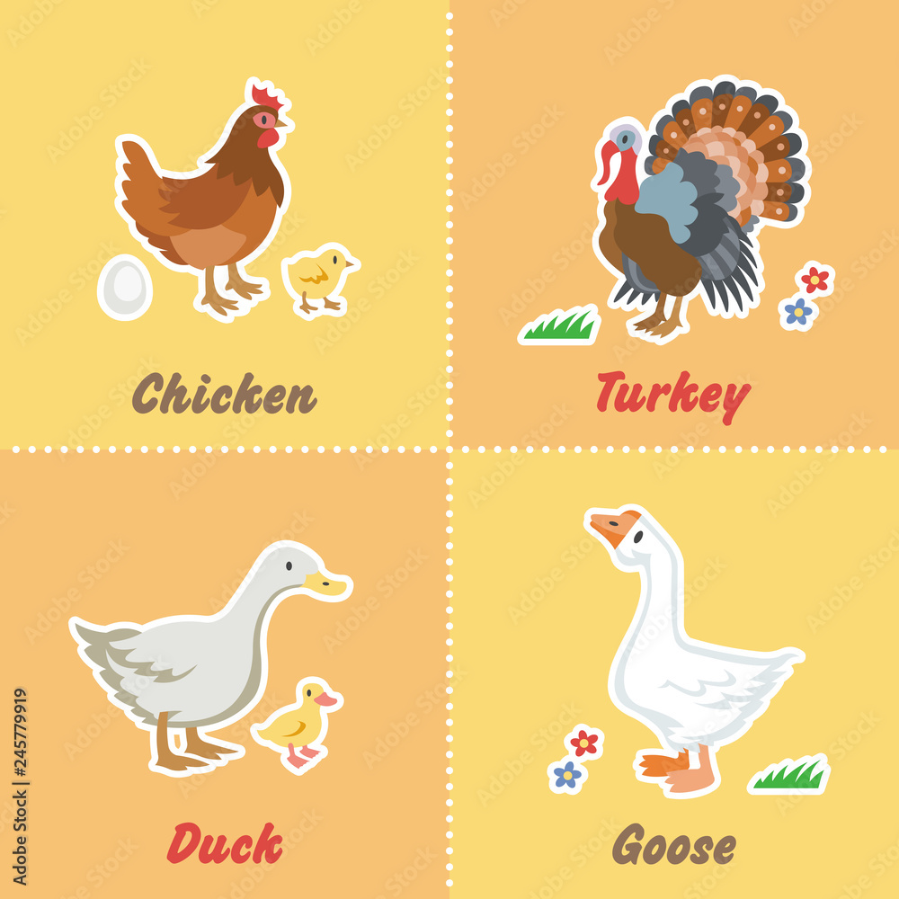 Cartoon set funny farm birds with chicken, turkey, duck and goose.  Character farming pet stickers collection. Stock Vector | Adobe Stock