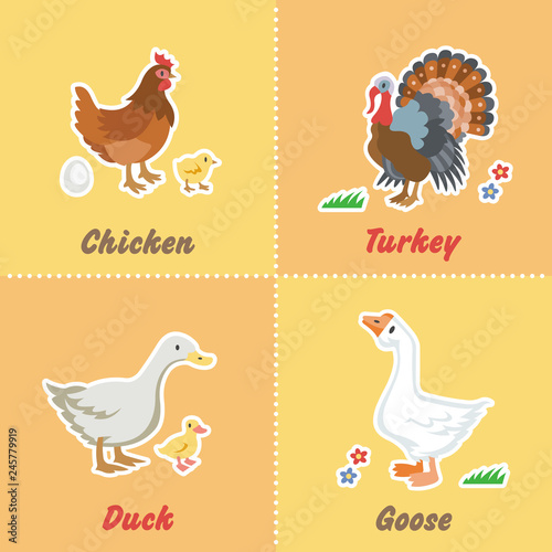 Cartoon set funny farm birds with chicken, turkey, duck and goose. Character farming pet stickers collection.