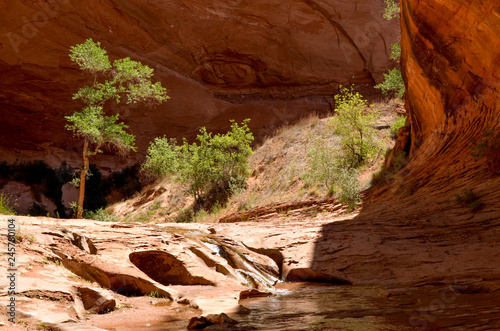 small cascade waterfall at Coyote Gulch in Grand Staircase - Escalante National Monument area (Kane, county, Utah) © ssmalomuzh