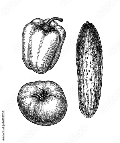 Ink sketch of vegetables