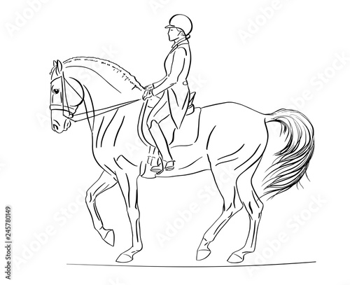 Fototapeta Naklejka Na Ścianę i Meble -  Equestrian, dressage. Sketch of a rider and horse execute the piaffe.