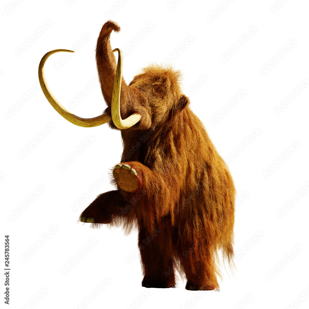 Naklejka premium mamut włochaty stojący na dwóch nogach, wymarłe prehistoryczne zwierzę izolowane cieniem na białym tle (renderowanie 3d)