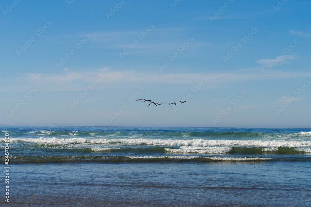 A flock of seagulls flies over  the Pacific Ocean in Cannon Beach, Oregon, USA.