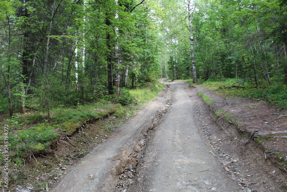 the road in the woods of the Ural regional the road in the woods of the Ural regional