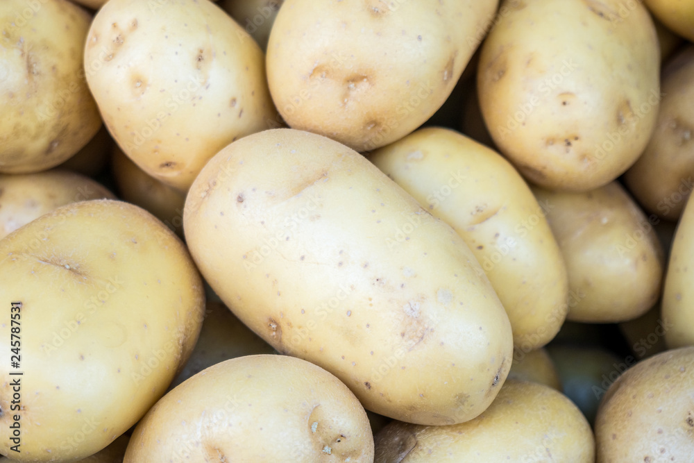 Fresh organic young potatoes in the market Fresh organic young potatoes in the market