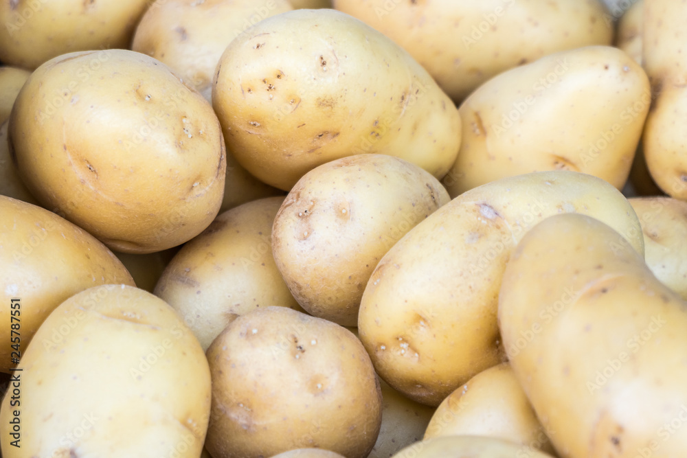 Fresh organic young potatoes in the market Fresh organic young potatoes in the market
