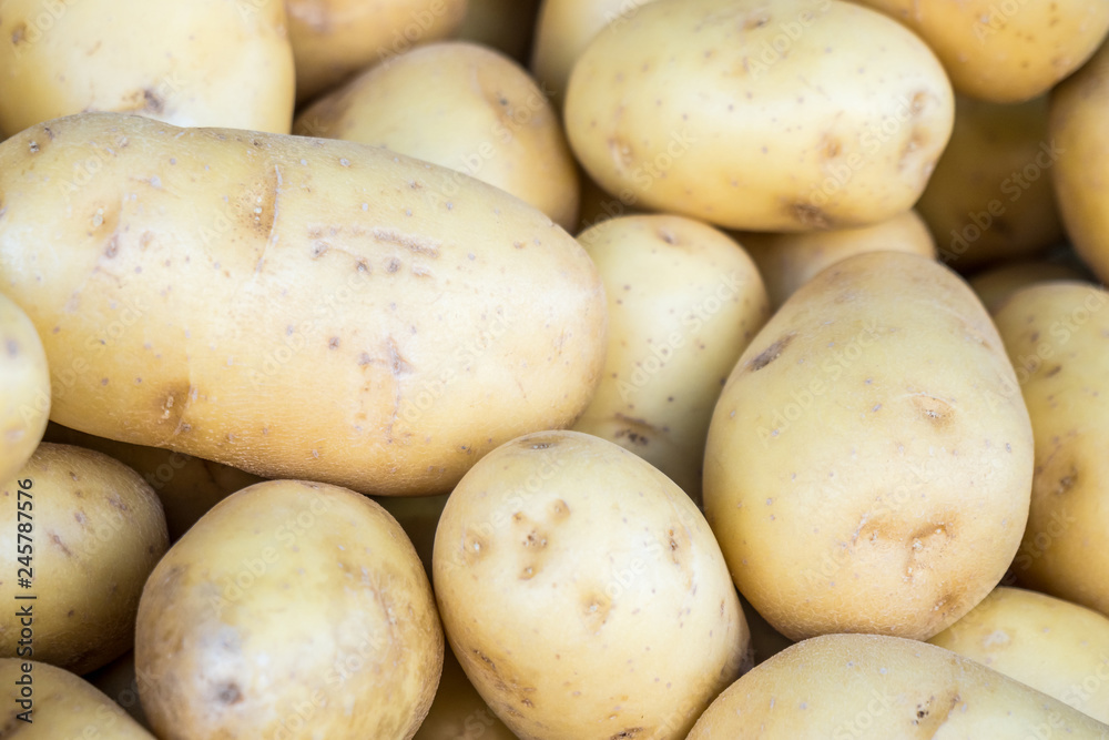 Fresh organic young potatoes in the market Fresh organic young potatoes in the market