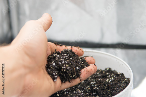 A mixture of earth, perlite and vermiculite. The concept of growing medical cannabis in the doore indoor. Close up Substrate for marijuana. Pot with soil for growing cannabis. photo