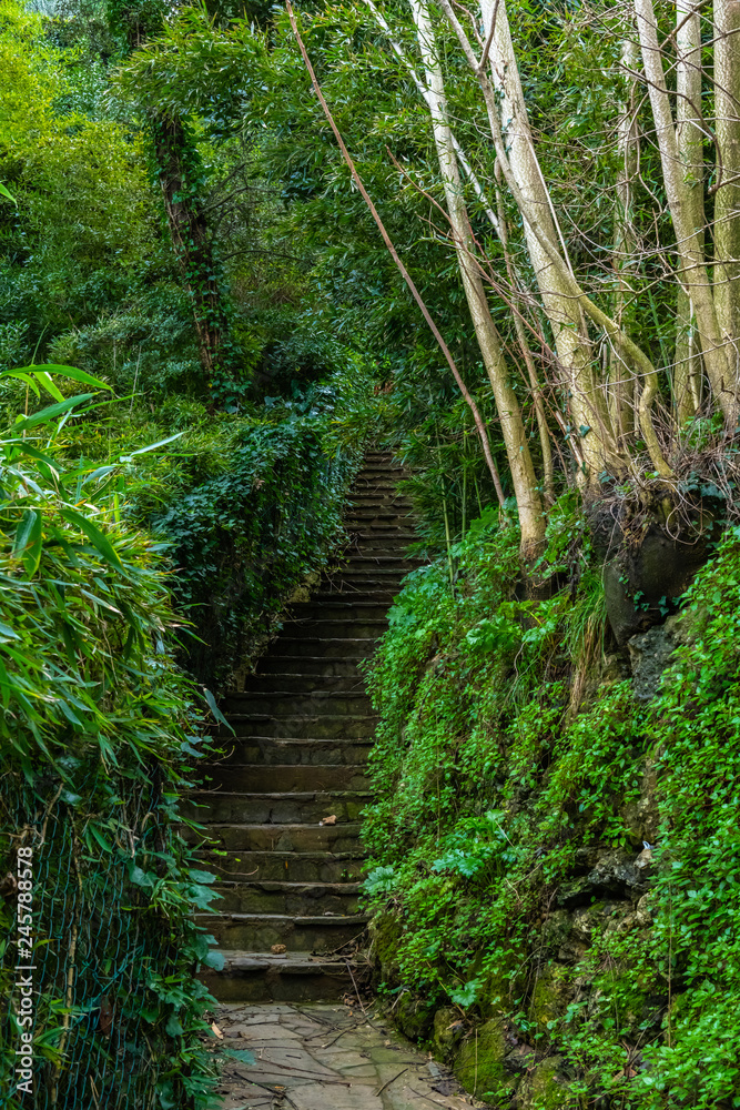 Natural stone stairs leading up among the green plants and trees in Portofino, Liguria, Italy Natural stone stairs leading up among the green plants and trees in Portofino, Liguria, Italy