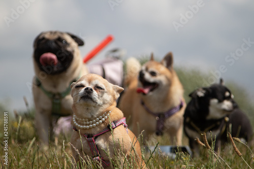 Diva with her crew