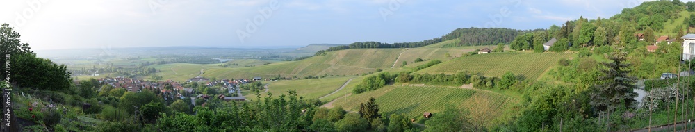Panorama bei Löwenstein