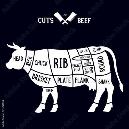 Meat cuts - beef. Diagrams for butcher shop. Scheme of beef. Animal silhouette beef. Guide for cutting.
