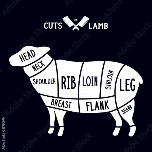 Meat cuts - lamb. Diagrams for butcher shop. Scheme of lamb. Animal silhouette lamb. Guide for cutting.