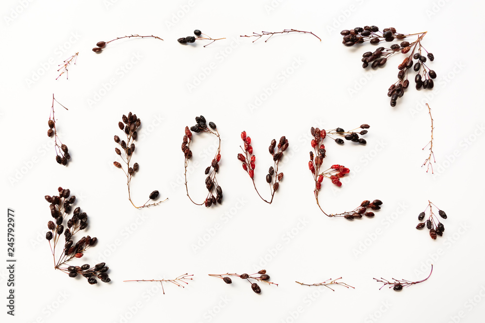 image of a love symbol in the form of a heart made of barberry twigs on a white background image of a love symbol in the form of a heart made of barberry twigs on a white background