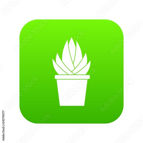 Aloe vera plant icon digital green for any design isolated on white vector illustration
