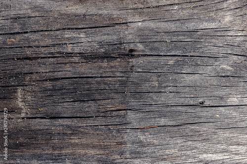 Wood Texture Background