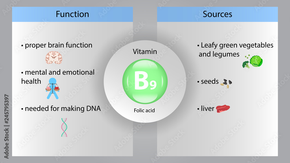 Vitamin B9 vector design. Vitamin B9 function and sources. Folic acid