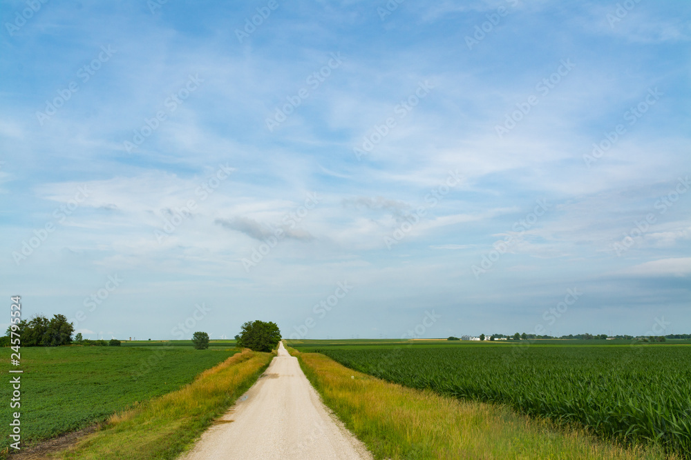 Fototapeta premium Rural country road