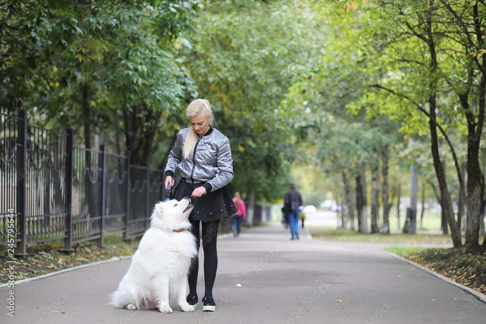 Lovely girl on a walk with a beautiful dog Lovely girl on a walk with a beautiful dog