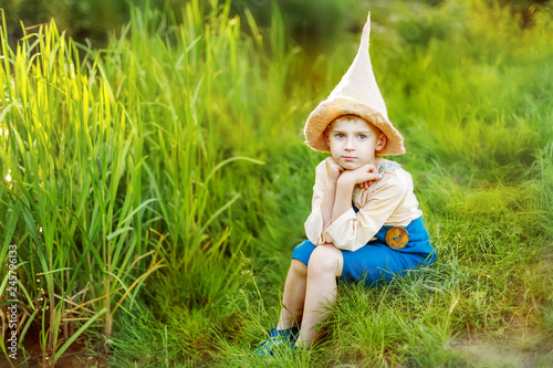 Foto Outdoor portrait of little boy in green garden in art gnome's costume