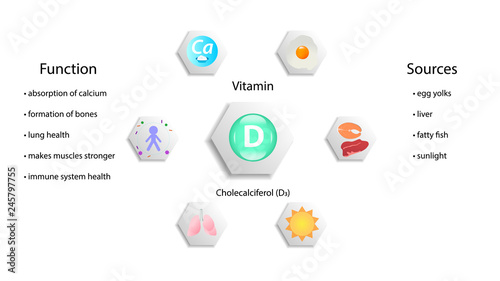 Vitamin D vector design. Vitamin D function and sources. Cholecalciferol D3